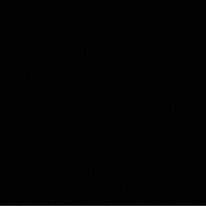 Meet your Posher, Luis